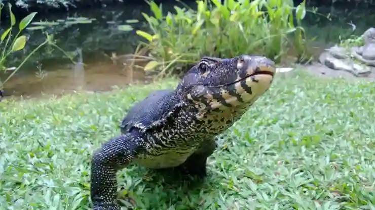모니터 주사율 확인 및 변경 방법