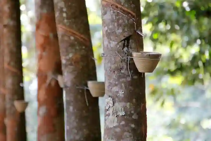 유튜브 음원 추출 방법 앱 설치 필요할까?