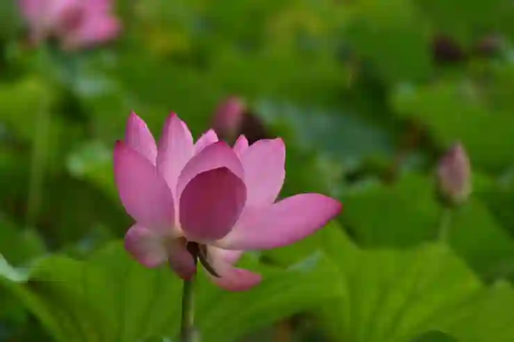 뤼튼 AI 사용법, 이미지 과제 PPT 초안 만들기