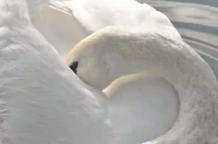 챗지피티 챗GPT 지브리 스타일 이미지, 유료 버전에서만 가능할까?