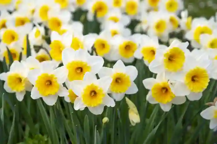 네이버 다음 부산대 맞춤법 검사기 사용 및 비교해 보기