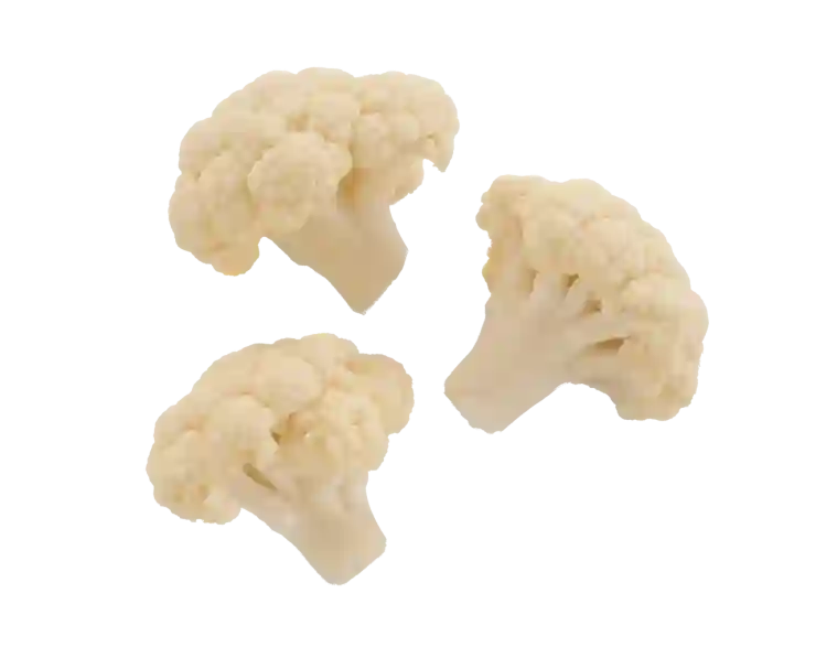 png jpg 변환 방법 및 사이트 총정리
