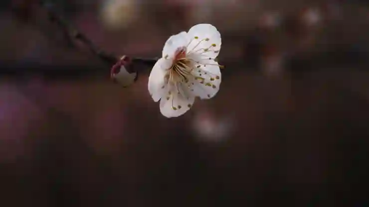 엑셀 전화번호 앞자리 0 보이게 넣기