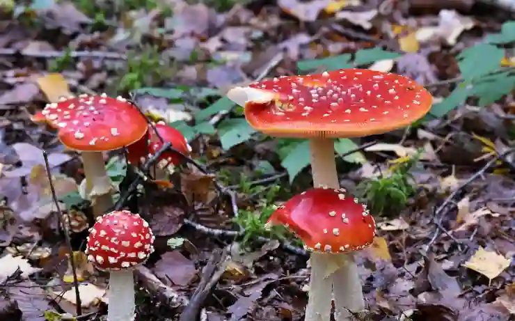 GIF 만들기 사이트, 캔바에서 퀄리티 있게 만들어보자!