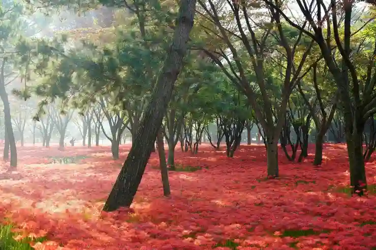 인스타그램 연락처 동기화 및 해제 방법