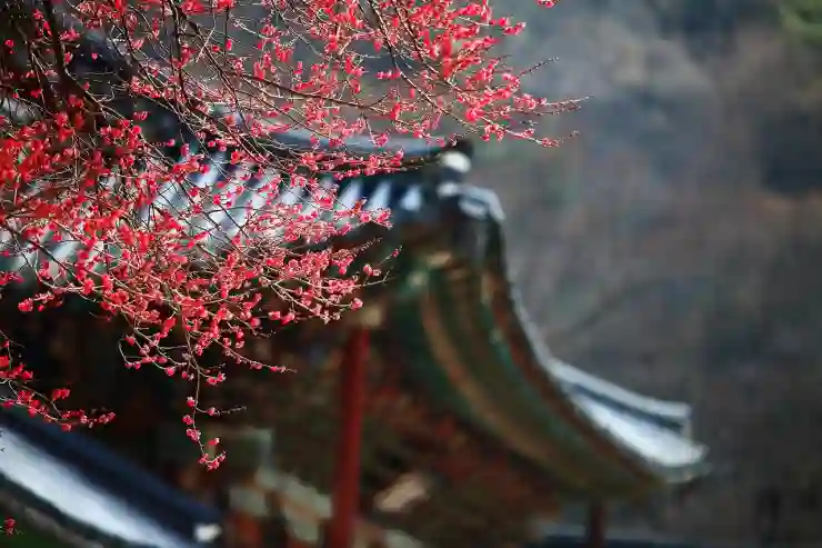 소프라이즈 한우 세일, 대한민국 최고 품질 역대급 할인 팁