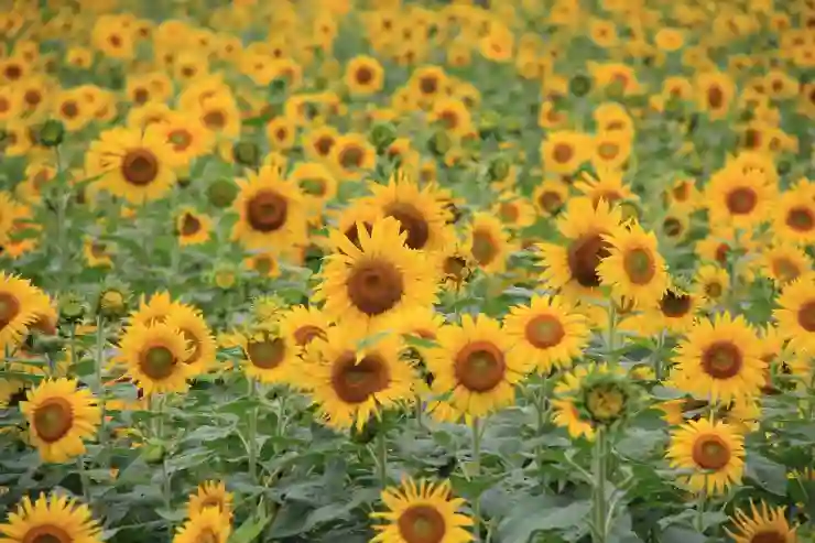 수원 근교 나들이, 넓고 예쁜 대형 카페 추천! 주말 데이트 코스 탐방