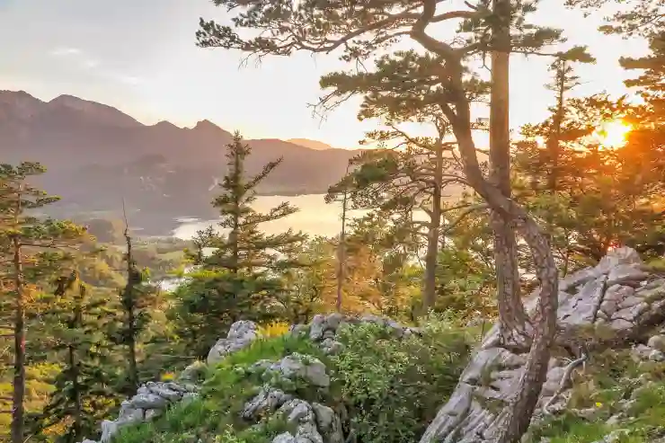 부산 여행, 짧은 일정 알차게! 단기 숙소 완벽 가이드: 해운대, 광안리, 서면 숙소 정보