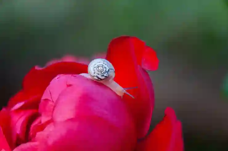 입맛 돋우는 특별한 한 그릇, 차돌박이 샐러드 파스타 황금 레시피 & 팁