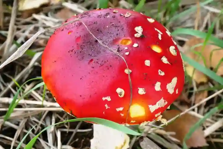 갤럭시에서 GIF 만들기 위한 꿀팁 알아보자