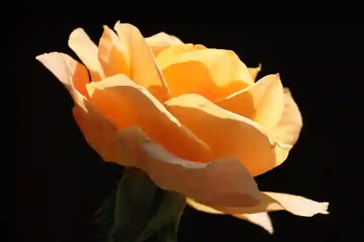 건축물대장 열람하기, 쉽고 간편한 무료 확인 방법 알아보자!