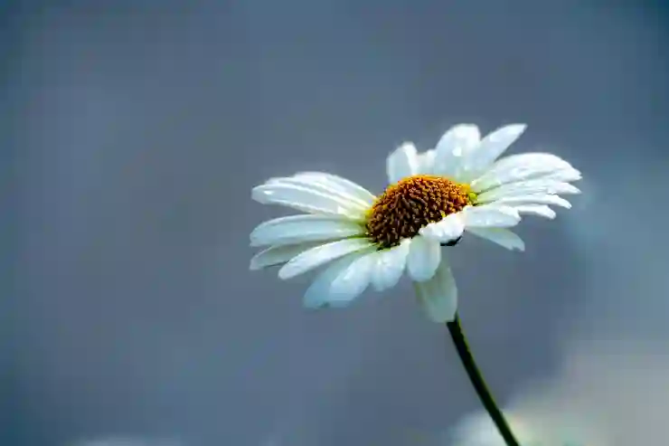 고용24로 취업 성공하는 비결 알아보기