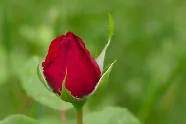 신입생을 위한 국가장학금 신청 가이드와 필수 팁 알아보기