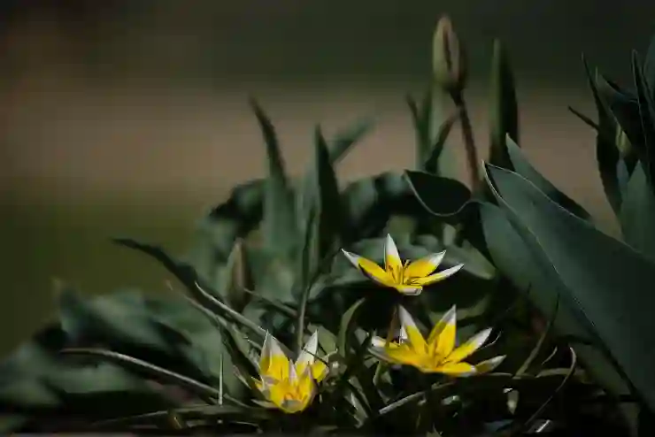 천안아산역 주차장 완벽 가이드: 꼭 알아야 할 꿀팁과 최신 정보!