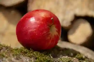 HPV 예방접종으로 얻는 건강 혜택 알아보자