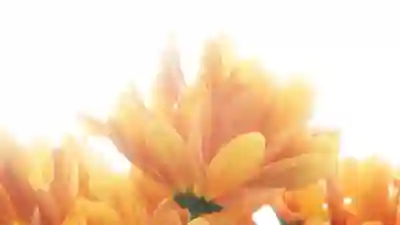 건강보험료 연말정산 환급액 확인하는 꿀팁 알아보자