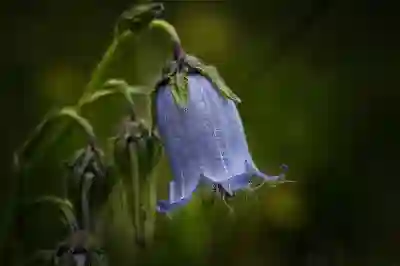 금융소득 과세와 건보료 절약을 위한 4가지 꿀팁 알아보기