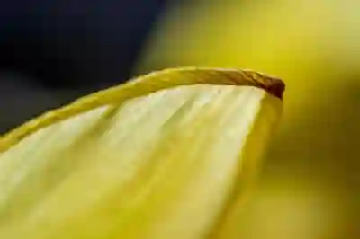 신용카드 현금 서비스의 위험성과 안전한 현금화 방법 알아보자