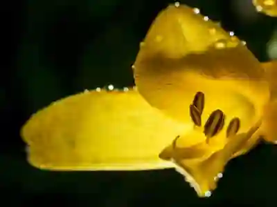 이혼 시 특유재산 분할 알아보자