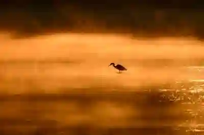 코덱스 레버리지 단기 거래 승률 높이는 5가지 방법