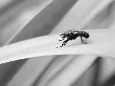 아이폰 스크린샷 문제 해결을 위한 4가지 방법 알아보자