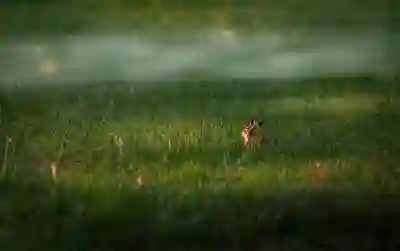 주조기능사 취업전망과 합격률 분석해보자