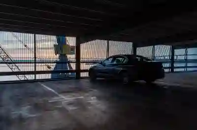 강아지 보양식 만드는 꿀팁 알아보자