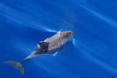 약수역 임플란트 저렴한 치과 TOP10 비용 및 가격 비교!