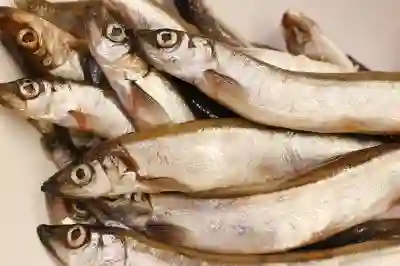 현대차 종류와 가격 알아보는 꿀팁