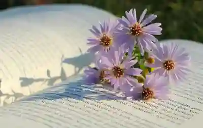 SM7 중고차 시세 비교 및 구매 팁 알아보자