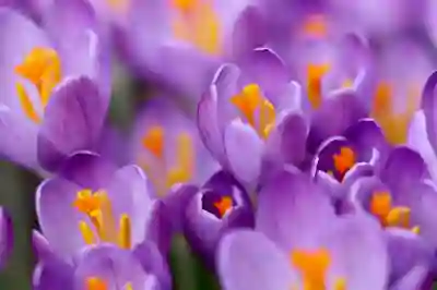 군포시 근처 요로결석 제거 수술 잘하는 비뇨기과 전문병원 추천