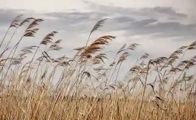 미성년자 증여 계산 방법 알아보자
