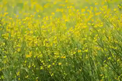 생활폐기물 처리 방법과 지역별 효과적인 대응 전략 알아보자