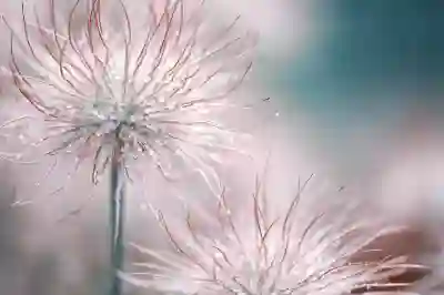 전남 보성군 커튼 업체 알아보자