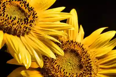 증미역에서 최고의 정형외과 찾는 방법과 치료비용 알아보자