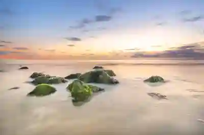 광주서구 케이K병원 예약과 진료시간 및 전문의 추천 방법 알아보기