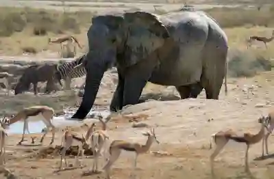 김해 장유 롯데워터파크 이용요금과 운영시간 알아보자