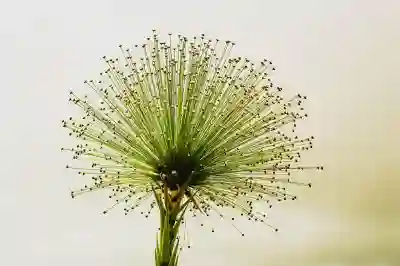 egg 파일 압축 푸는 방법 알아보자