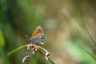 대전 유성구 온천1동 채용 시 건강검진 항목과 비용 알아보자