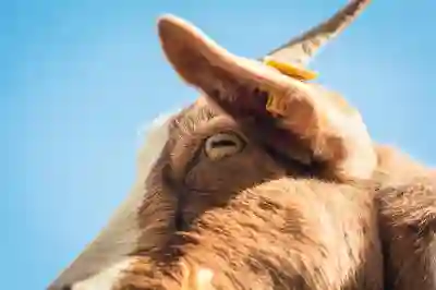 부산 기장군에서 척추와 관절 통증 치료를 위한 한의원 추천 살펴보기