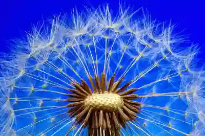 인천 남동구 입주청소 업체 추천과 후기 및 비용 살펴보기